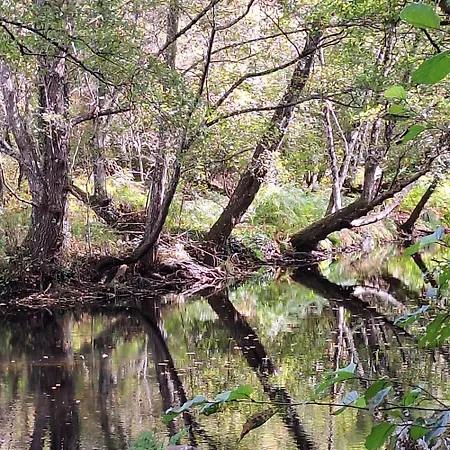 Casasturga Collado (Caceres)