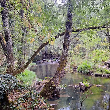 Apartment Casasturga Collado (Caceres)