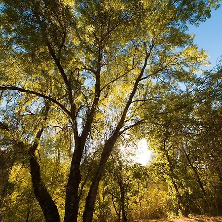 아파트 Casasturga