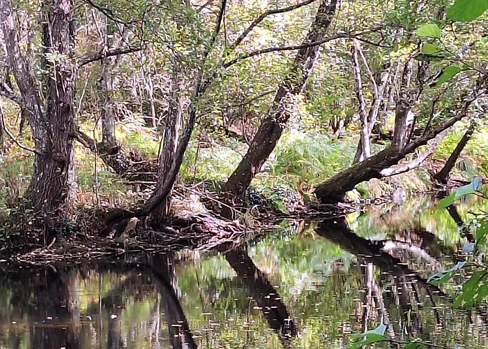 Casasturga Кольядо