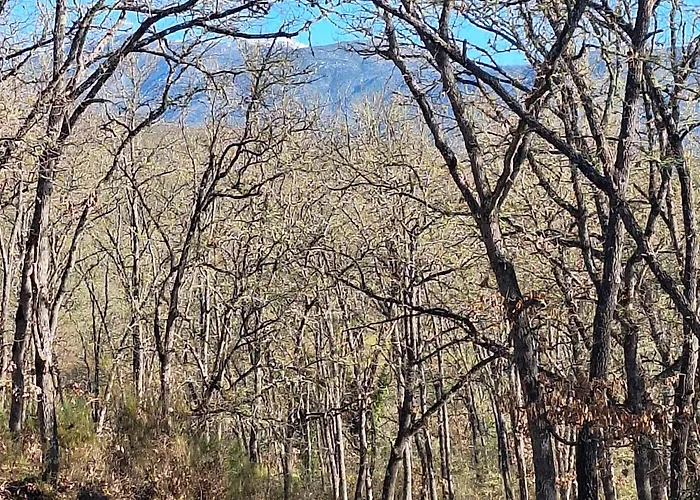 Casasturga Кольядо