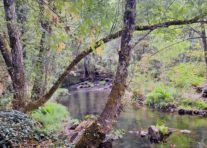 公寓 卡萨图加公寓 Collado (Caceres)