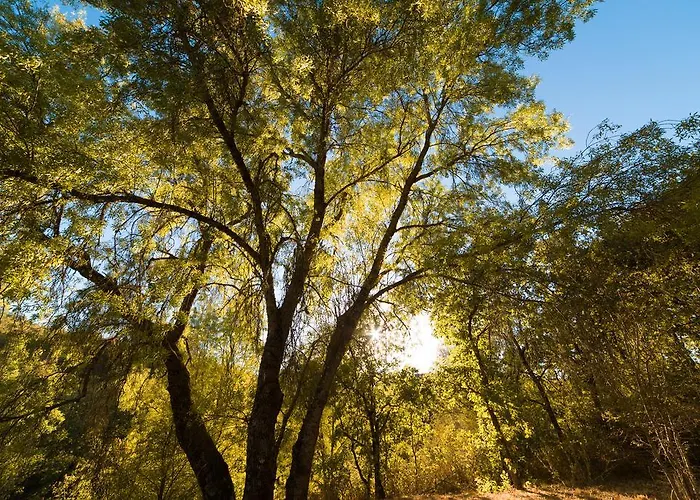 Апартаменты Casasturga